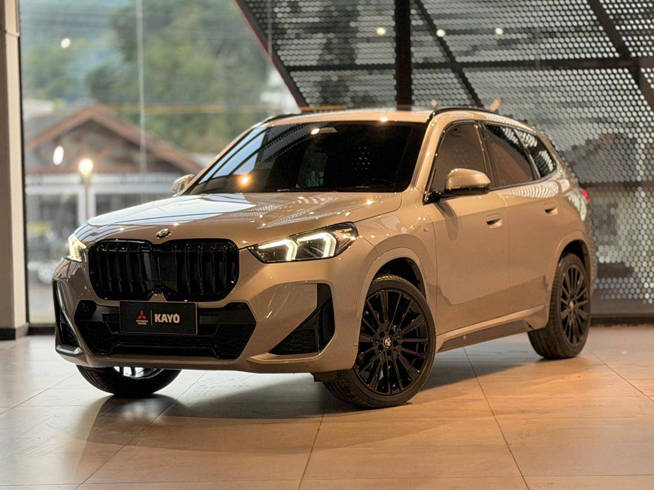 X1 2.0 16V TURBO SDRIVE20I M SPORT1